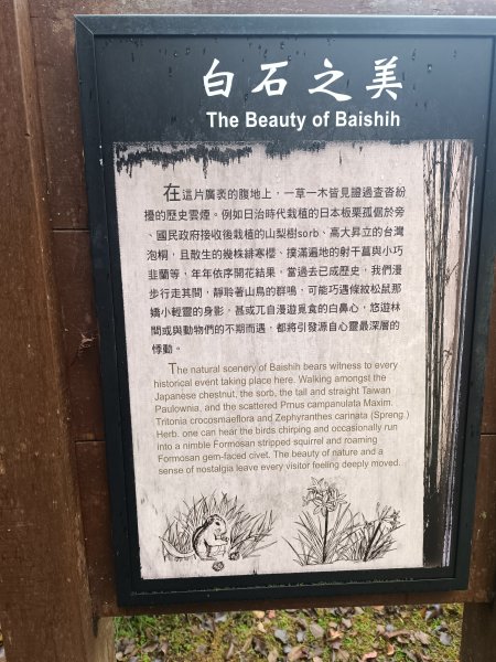 霞喀囉步道(全程)2972337