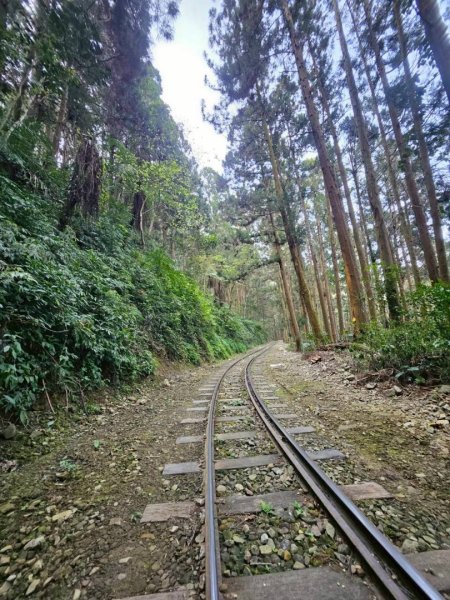 20260330十字路車站O繞多林車站 得恩亞納3027282