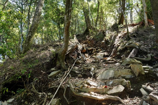 台中 和平 馬崙山2796974