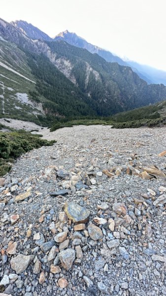 東埔-排雲-玉山西峰-玉山主峰2753186
