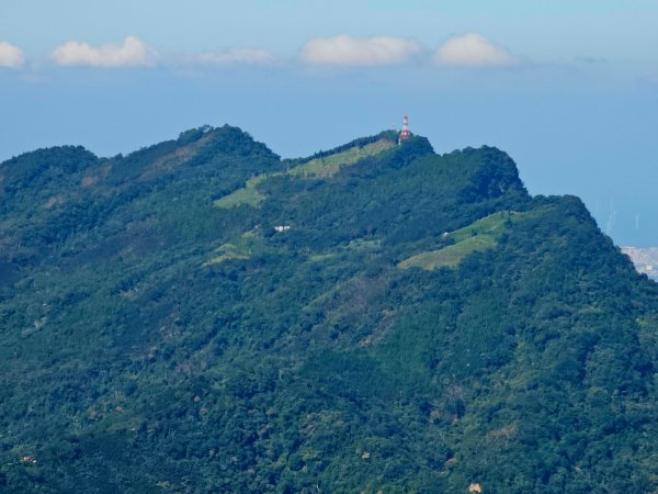 油羅山-2025森遊竹縣皮皮獅探險隊2910087