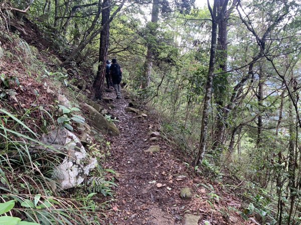 20240609 谷關東卯山(公子登山隊)2523441