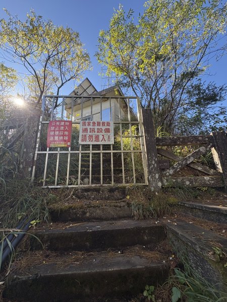 20251225塔山步道(大塔山)2970419