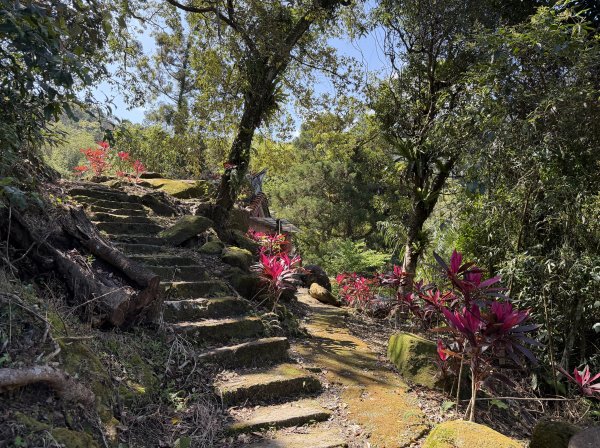[淡蘭古道] 2026_0315 南路第三段_四分子古道