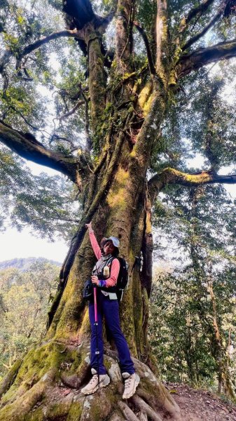 🌈3/21（六）頂湖上大凍山下奮起湖老街✨FB：熊熊趴爬走🌈3020190