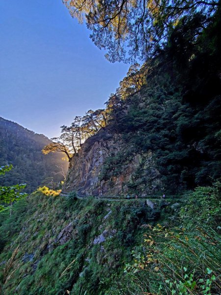 阿興阿賢合歡溪步道上合歡西峰1491114