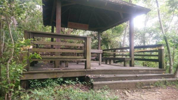 桐林花廊步道596141