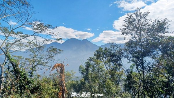 【南投魚池】後尖山步道2968289