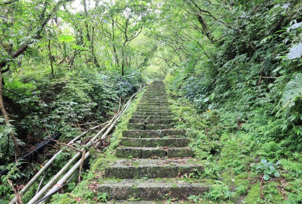 菁桐古道-磐石嶺古道2799098