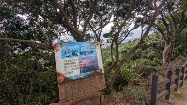劍潭山親山步道2676459