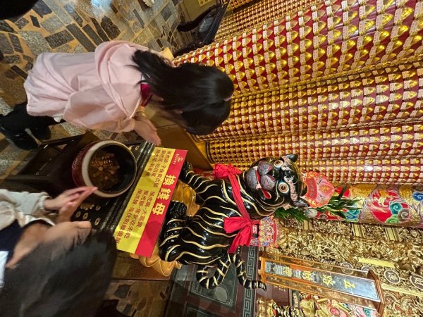 擁抱自然健走趣2843912