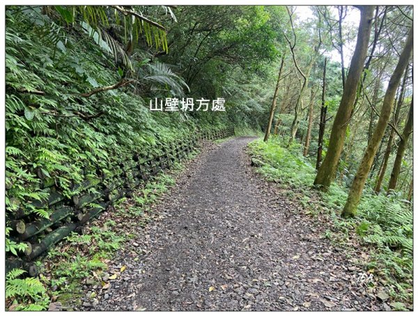 聖母峰、三角崙山 (抹茶山) 連走2802191