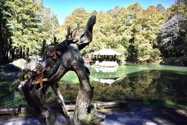 20260207阿里山健行追公車3010591