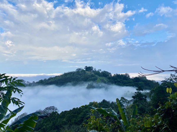 洗水山北峰.細道邦山(南峰)輕鬆撿--雲海花海看飽看滿   2022/2/101607001