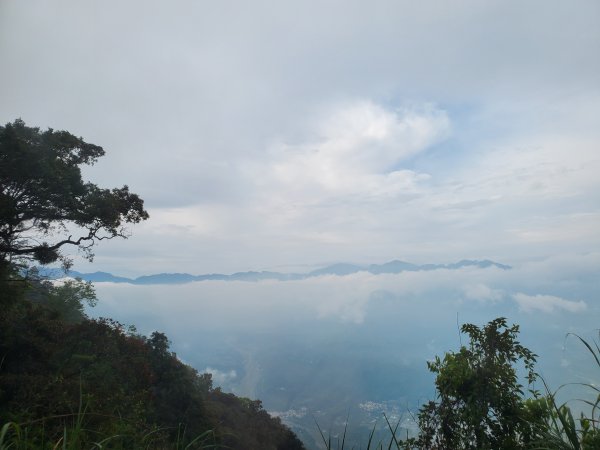 郡大碰碰車952483