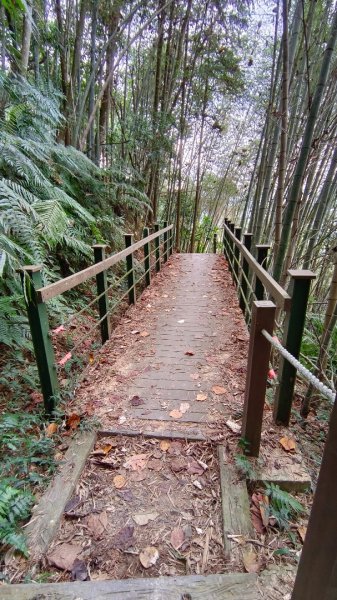 後尖山（南投-小百岳）1949975