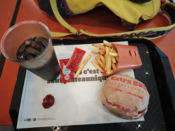 2025_0423 倫敦馬拉松順遊西歐 D5d(法國巴黎-新凱旋門)2787242