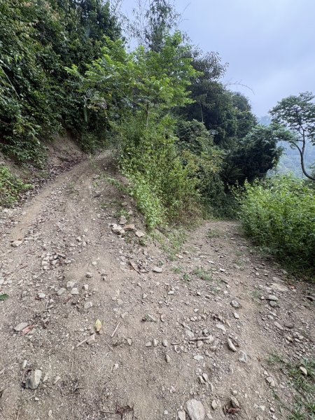 20251108西阿里關山步道(小林村東側登山口啟登)2933486