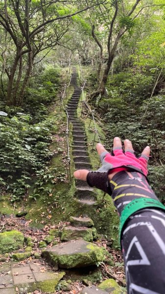 微笑山⛰️線-大棟-二格山-五分山-天上山-鳶山💎12條步道完成💙2836374