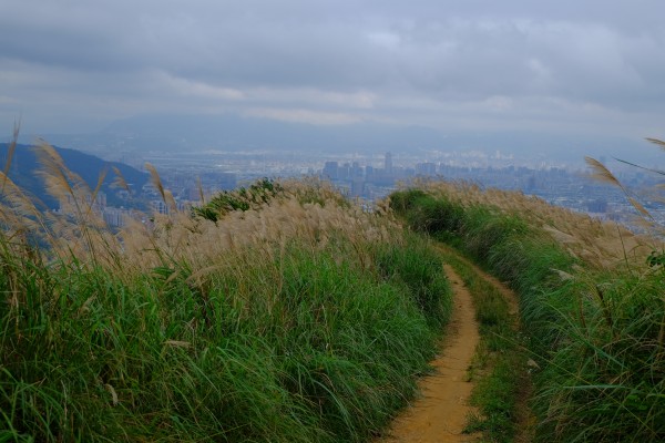 三角埔頂山237428