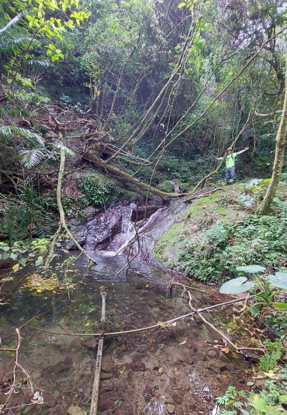 楓樹湖古道登面天北稜上面天山2782208