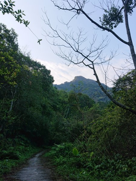 水田林道上貴妃山-鞍部石猴-那結山O型走1307487