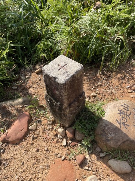 【二格山系】和美山螢火蟲2852559