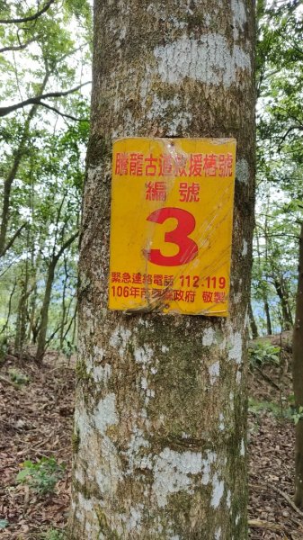 2025/6/14 橫龍山2839244