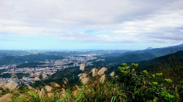 汐止大尖山2971881