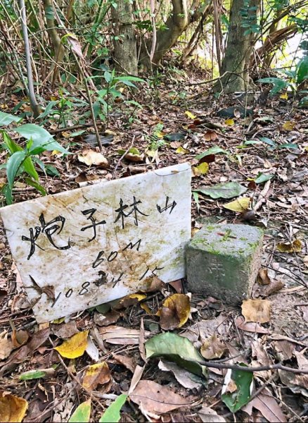 2021臺北大縱走第七段1559600