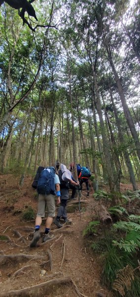 2025國慶連假_南湖群峰7座百岳行2916904