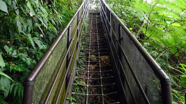 八煙,擎天崗,冷水坑2217988