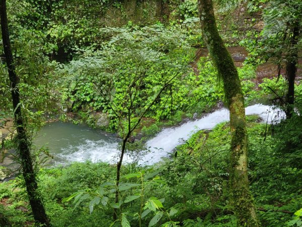 鵝公髻山採桃趣-202505302865287