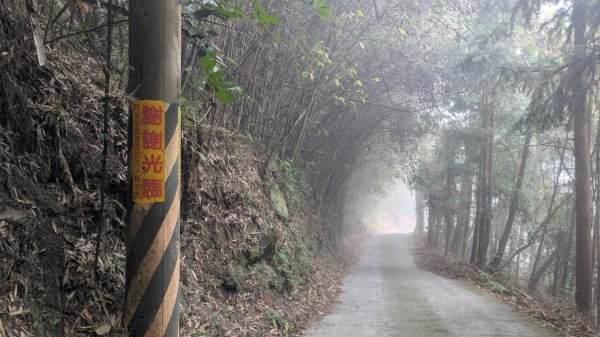 橫龍山、橫龍古道2682948