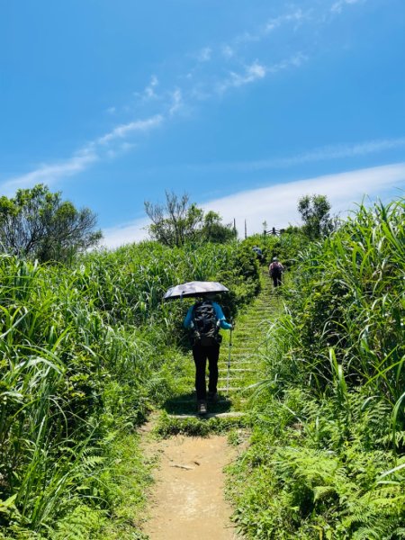 1140531姜子寮山。泰安瀑布。潮境公園2800964