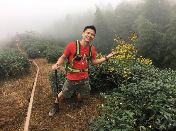 光輝燦爛慶雙十之大石公走到大崙山賞銀杏之旅435473