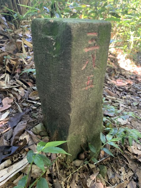 20260704高雄尾寮山-尾寮山西北峰(第26刷)3084687