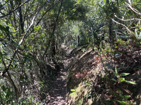 [微笑山線_第九段] 2025_0914 二格山系_皇帝殿西峰2889673