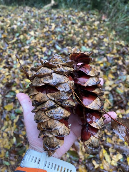 大霸尖山3日(2024.12.24~12.26)2813820