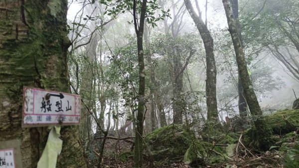20251010 大雪山國家森林遊樂區 - 船型山林道 登 烏石坑山2911128
