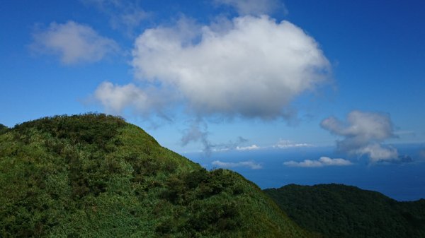 鶯子頂山與鶯子嶺趴趴走417516