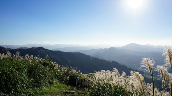 基隆山步道472427