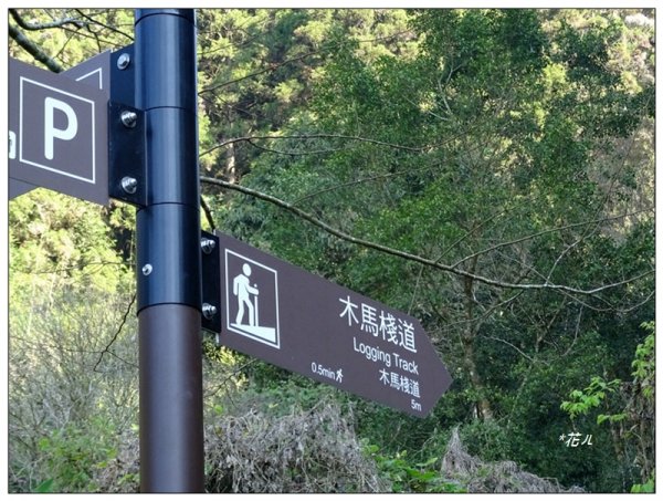 奮起湖大凍山(小百岳)1614082