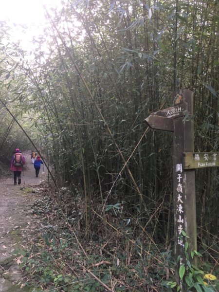 20181026-大凍山初登444939