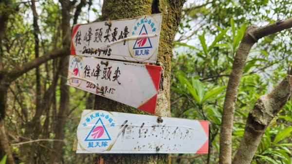 峰頭尖~峰頭尖東峰2761365