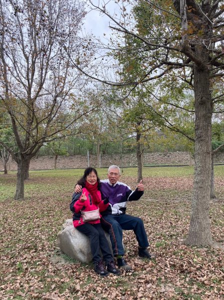 四訪苗栗的花果山-小百岳#037馬那邦山、雪霸國家公園管理處【小百岳集起來、苗栗-臺灣百大必訪步道】2394255