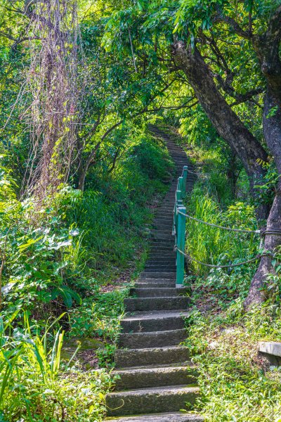 [高雄]觀音山2590735