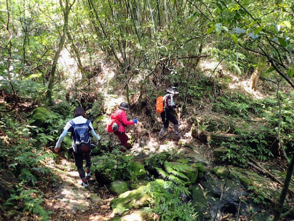 瑪鍊山-瑪鍊山東峰-瑪鍊山東北峰