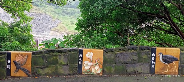 硫磺谷步道→十八份水圳步道→東昇步道→頂湖山→青楓步道→竹子湖【發現陽明山】2159584