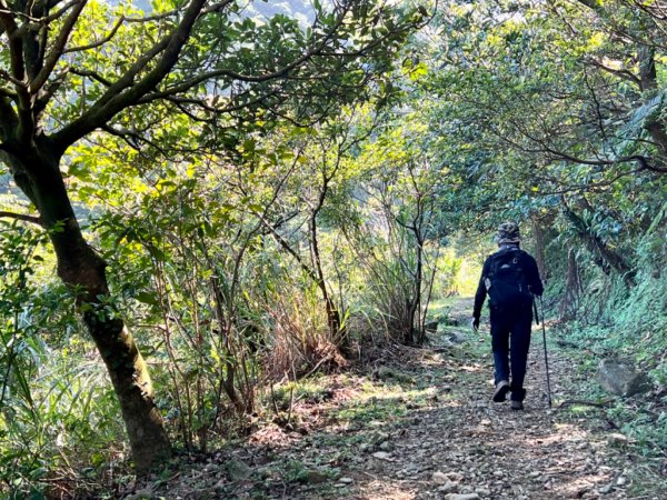 石尾步道環走黃金三稜上燦光寮山1865956